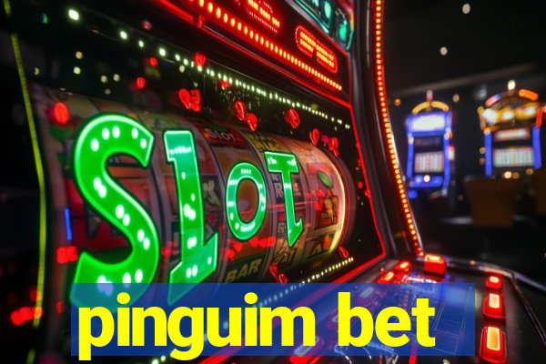 pinguim bet