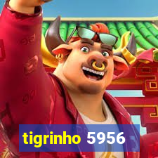 tigrinho 5956