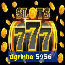 tigrinho 5956