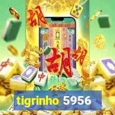 tigrinho 5956