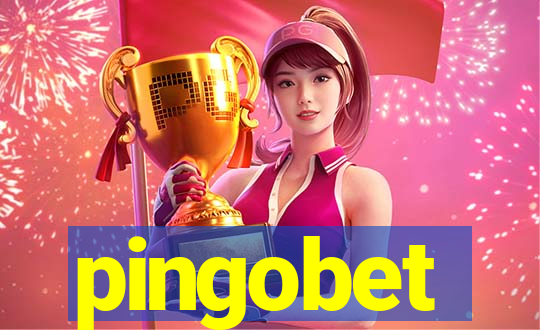 pingobet