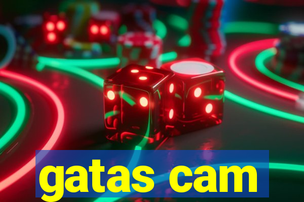 gatas cam