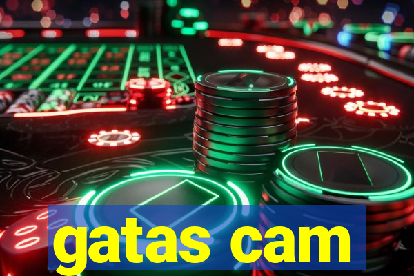 gatas cam