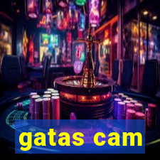 gatas cam