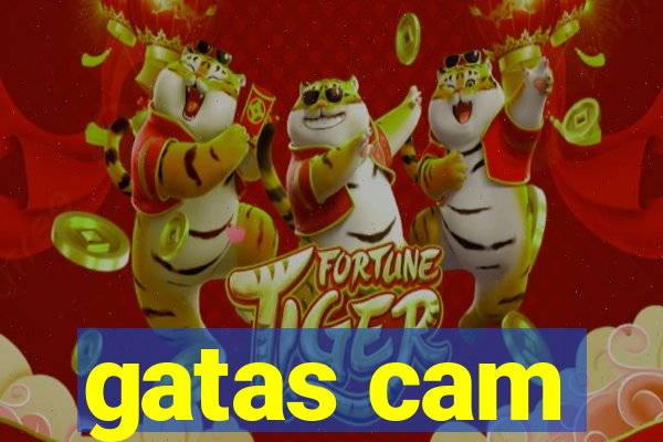 gatas cam