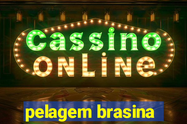 pelagem brasina