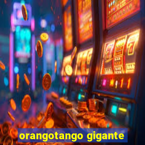 orangotango gigante