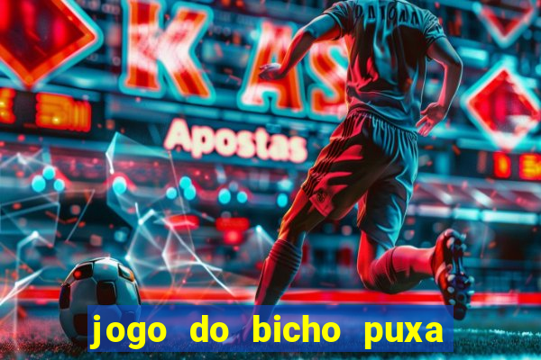 jogo do bicho puxa de dona maria