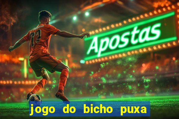 jogo do bicho puxa de dona maria