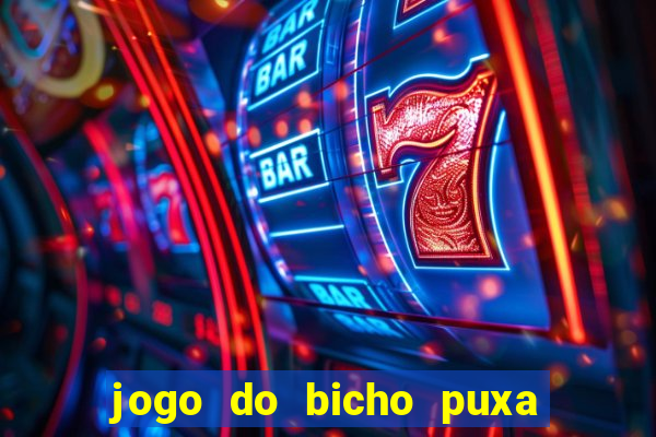 jogo do bicho puxa de dona maria