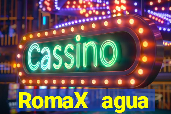 RomaX agua sanitaria fispq agua sanitaria romax