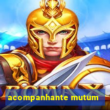 acompanhante mutum