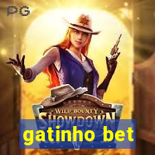 gatinho bet