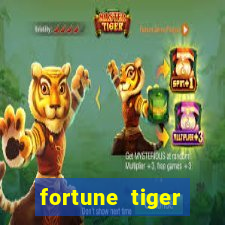 fortune tiger source code