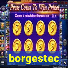 borgestec