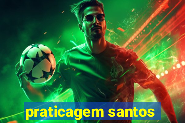 praticagem santos