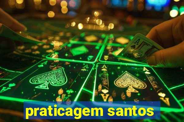 praticagem santos