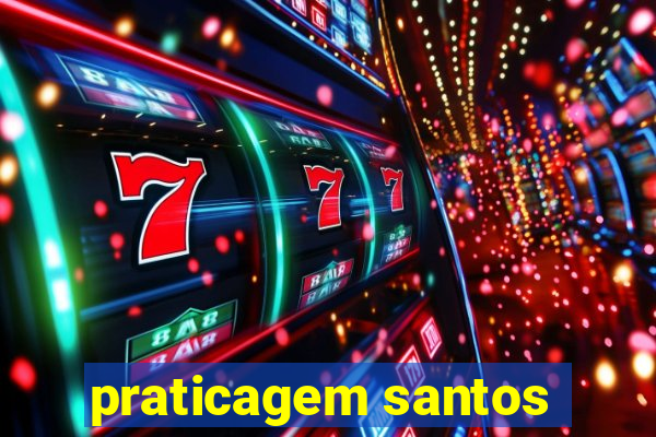 praticagem santos