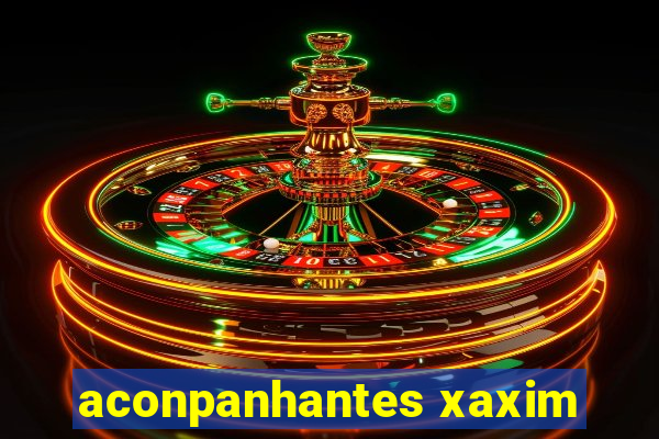 aconpanhantes xaxim