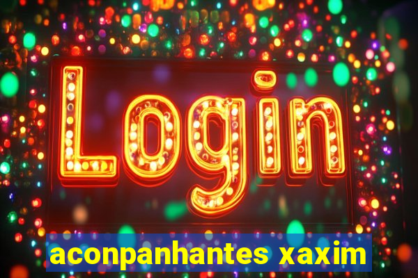 aconpanhantes xaxim