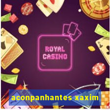 aconpanhantes xaxim