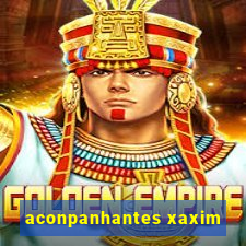 aconpanhantes xaxim