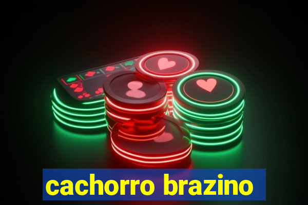 cachorro brazino