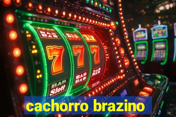 cachorro brazino