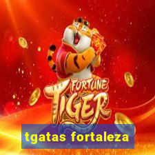 tgatas fortaleza