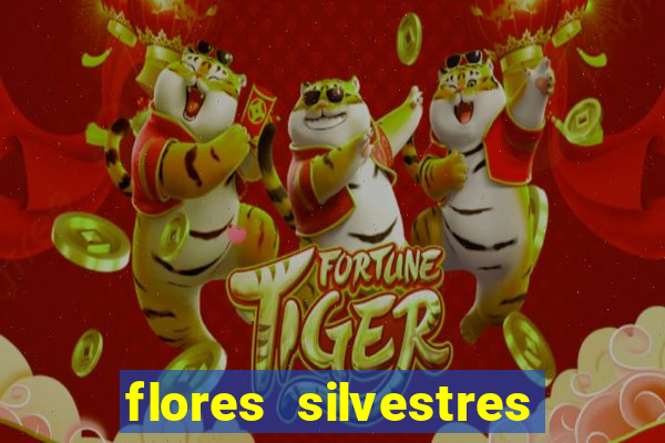 flores silvestres desbravadores desbravadores 25