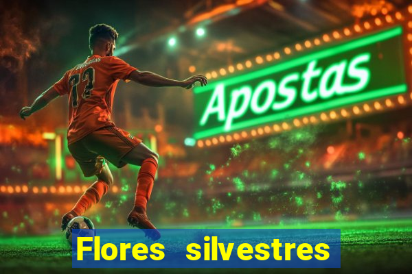 Flores silvestres brasileiras brasileiras flores silvestres nomes e imagens