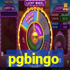 pgbingo