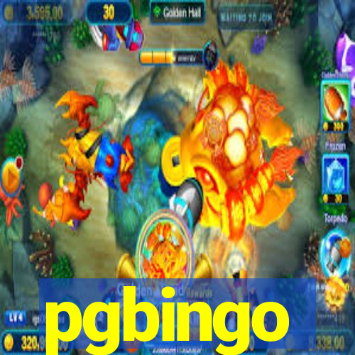 pgbingo