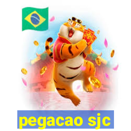 pegacao sjc