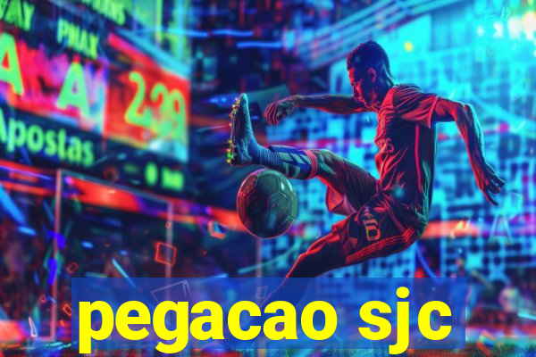 pegacao sjc