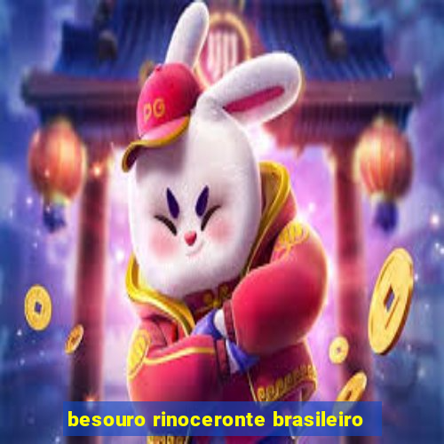 besouro rinoceronte brasileiro