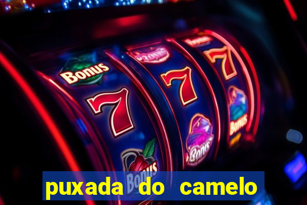 puxada do camelo no jogo do bicho