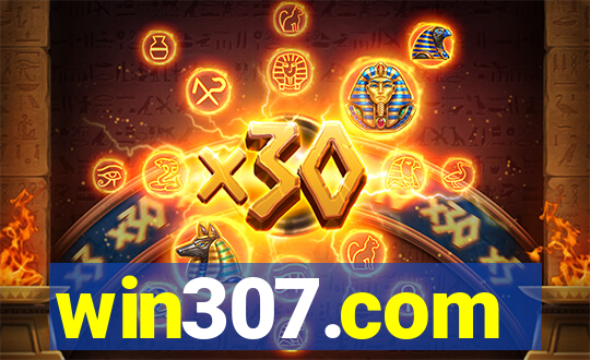 win307.com