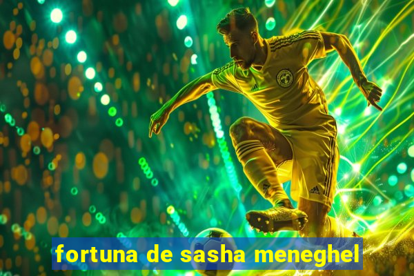 fortuna de sasha meneghel