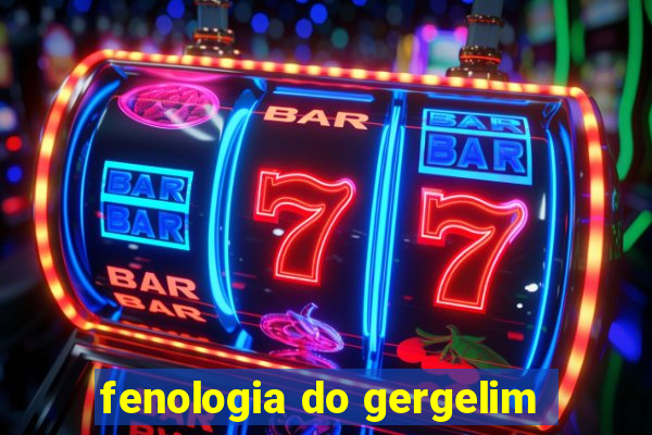 fenologia do gergelim