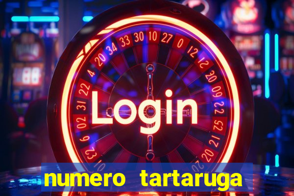 numero tartaruga jogo do bicho