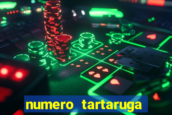 numero tartaruga jogo do bicho