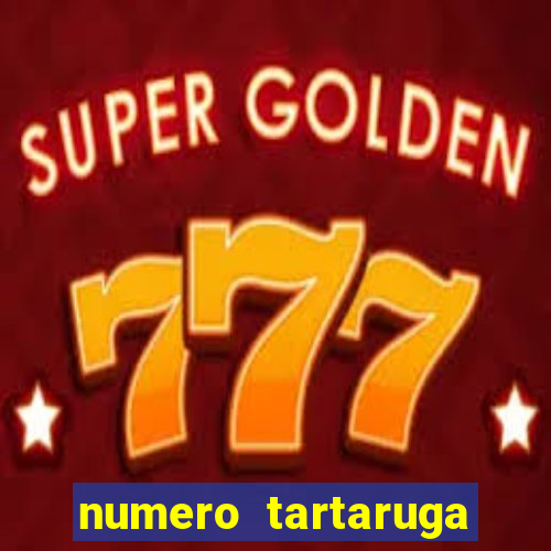 numero tartaruga jogo do bicho