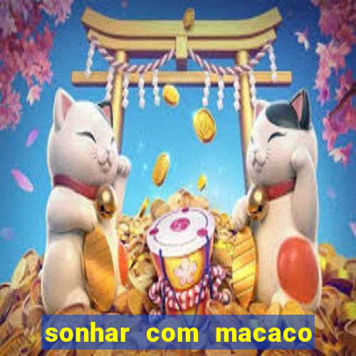 sonhar com macaco o que significa