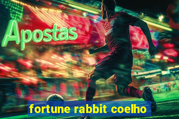 fortune rabbit coelho