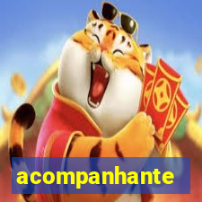 acompanhante gordinha s o paulo