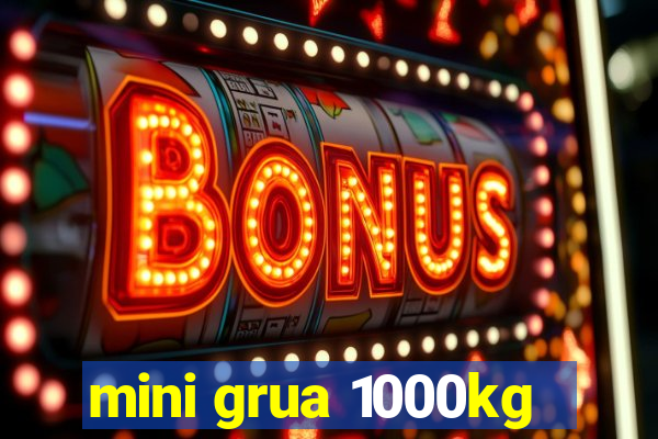 mini grua 1000kg