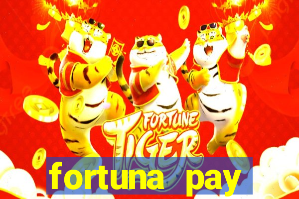 fortuna pay consultoria financeira ltda