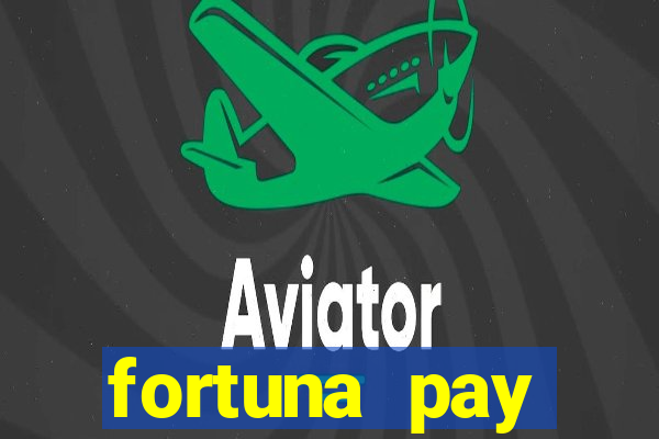 fortuna pay consultoria financeira ltda