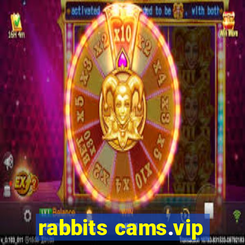 rabbits cams.vip